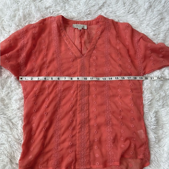 Olive & Oak Coral Sheer Blouse - Picture 7 of 9